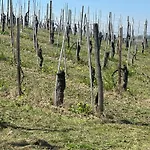 Casa Il Cuore Delle Langhe By World Apartamento *