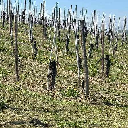 Casa Il Cuore Delle Langhe By World Lägenhet *